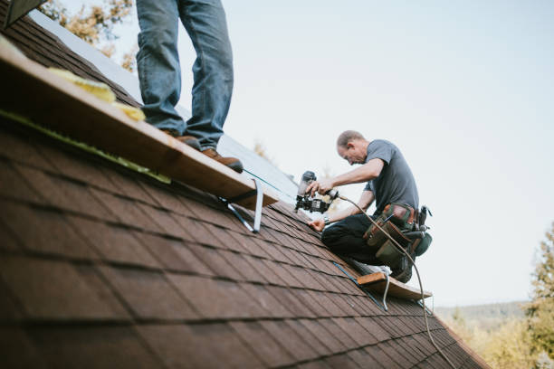 Best Storm Damage Roof Repair  in Verona, PA